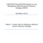 Action Plan for Building a National Social Protection Strategy