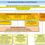 Programme Management and Implementation Structure