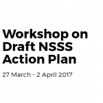 WorkshopNSSSActionPlan