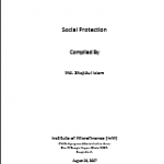 Annotated Bibliography – Social Protection