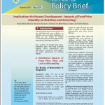 BIDS Policy Brief – Implications for Human Development – Impacts of Food Price Volatility on Nutrition and Schooling