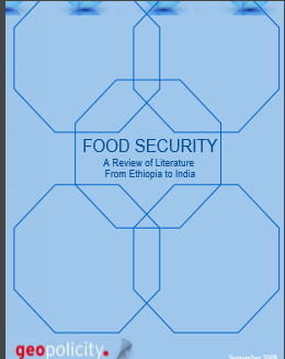 FOOD SECURITY A Review of Literature From Ethiopia to India