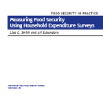 Measuring Food Security Using Household Expenditure Surveys