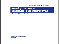 Measuring Food Security Using Household Expenditure Surveys