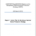 Report – Action Plan for Building a National Social Protection Strategy