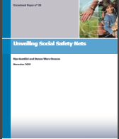 Unveiling Social Safety Nets