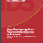 WORKING PAPER – Climate Change Adaptation, Disaster Risk Reduction and Social Protection – Complementary Roles in Agriculture and Rural Growth