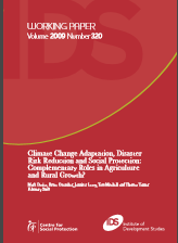 Working Paper Climate Change Adaptation, Disaster Risk Reduction and Social Protection: Complementary Roles in Agriculture and Rural Growth?