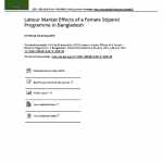 Labour Market Effects of a Female Stipend Programme in Bangladesh