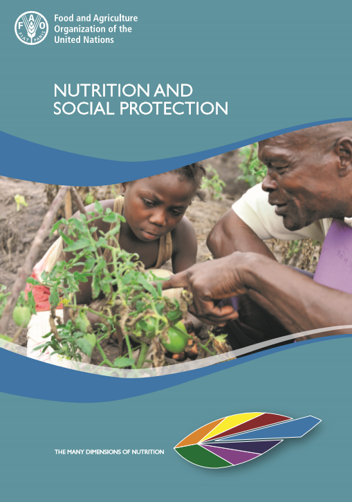 Nutrition and Social Protection