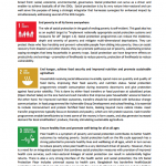 Sustainable Development Goals and Social Protection – with Icons