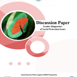 Gender Diagnostics of Social Protection Issues