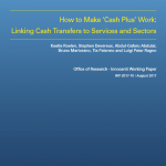 How to Make ‘Cash Plus’ Work – Linking Cash Transfers to Services and Sectors