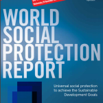 World Social Protection Report
