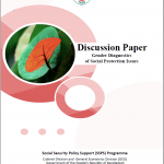 5. Discussion Paper – Gender Diagnostics of Social Protection Issues