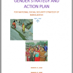 NSSS Gender Strategy and Action Plan