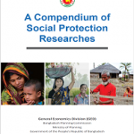 A Compendium of Social Protection Researches