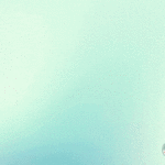 National Conference on Social Protection 2025