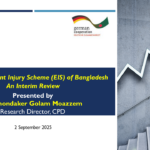 PPT on EIS for UNDP Seminar