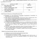 Memo-Social-Protection-Unit-MoLE